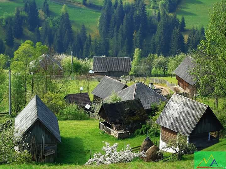 Гостевой дом Casa Cristalina&Dumi Альбац Экстерьер фото