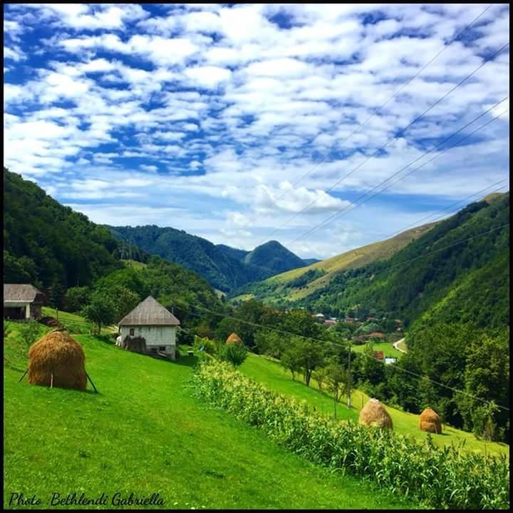 Гостевой дом Casa Cristalina&Dumi Альбац Экстерьер фото